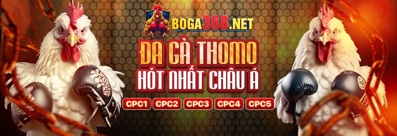 Tổng quan các loại khuyến mãi NE88